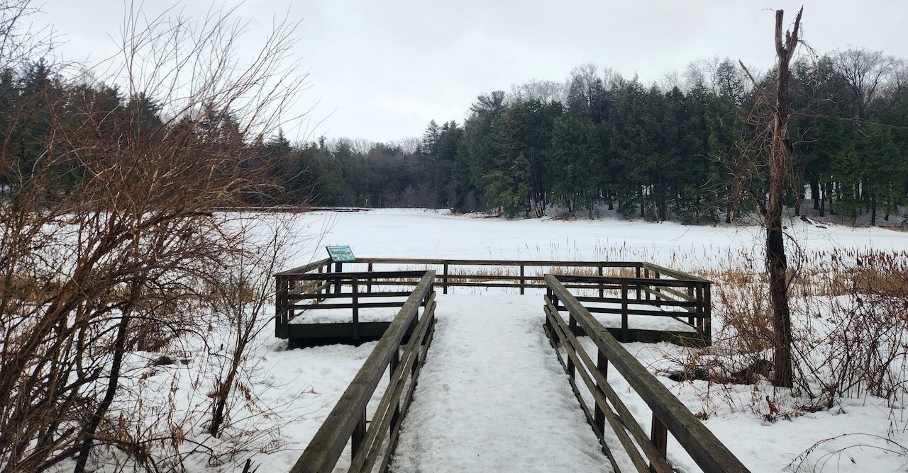 A viewing platform in Huron Natural Area